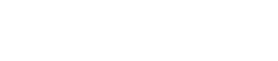 logo light